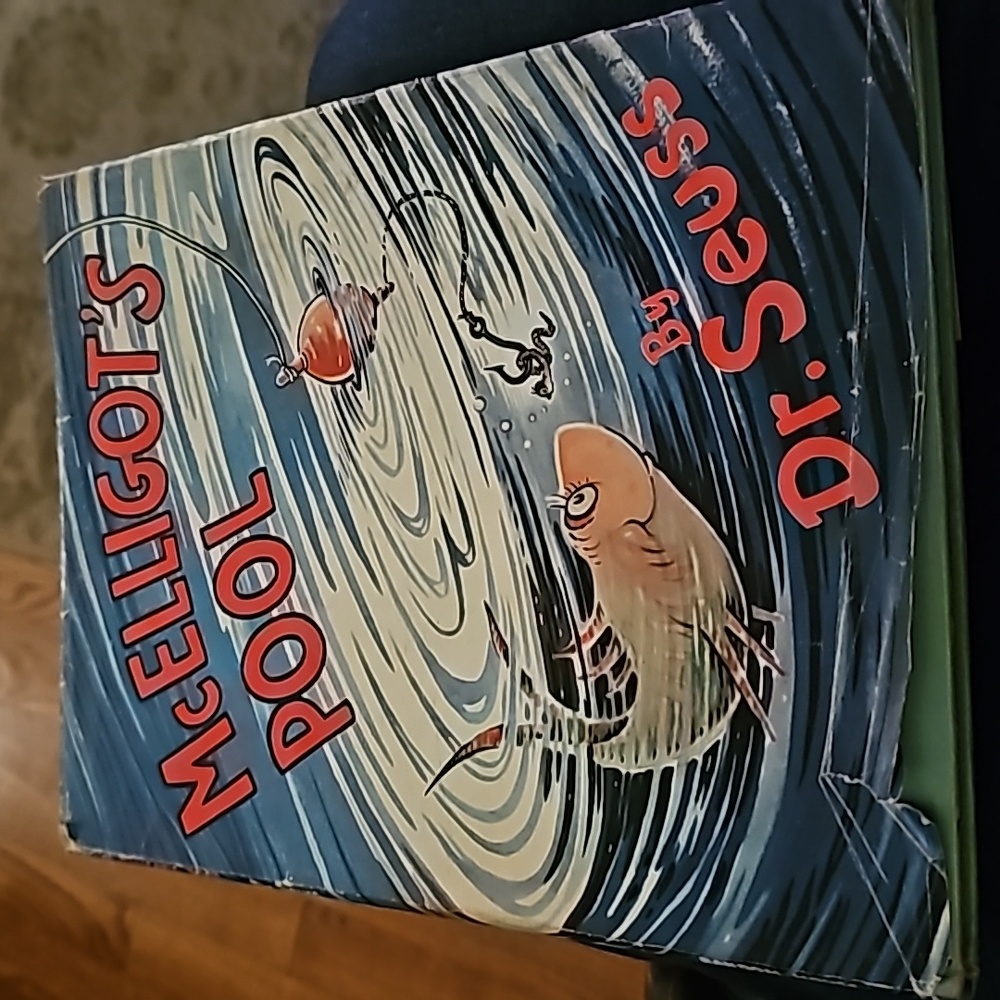 McElligot"s Pool